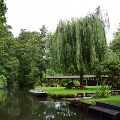 乐鱼体育APP下载安装